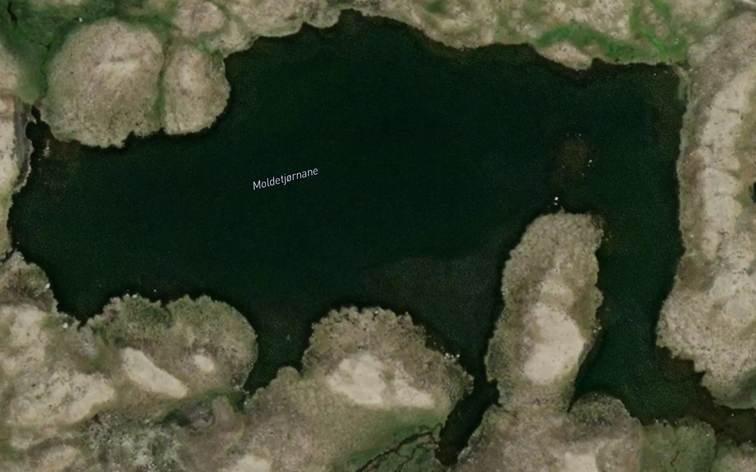 Moldetjornane