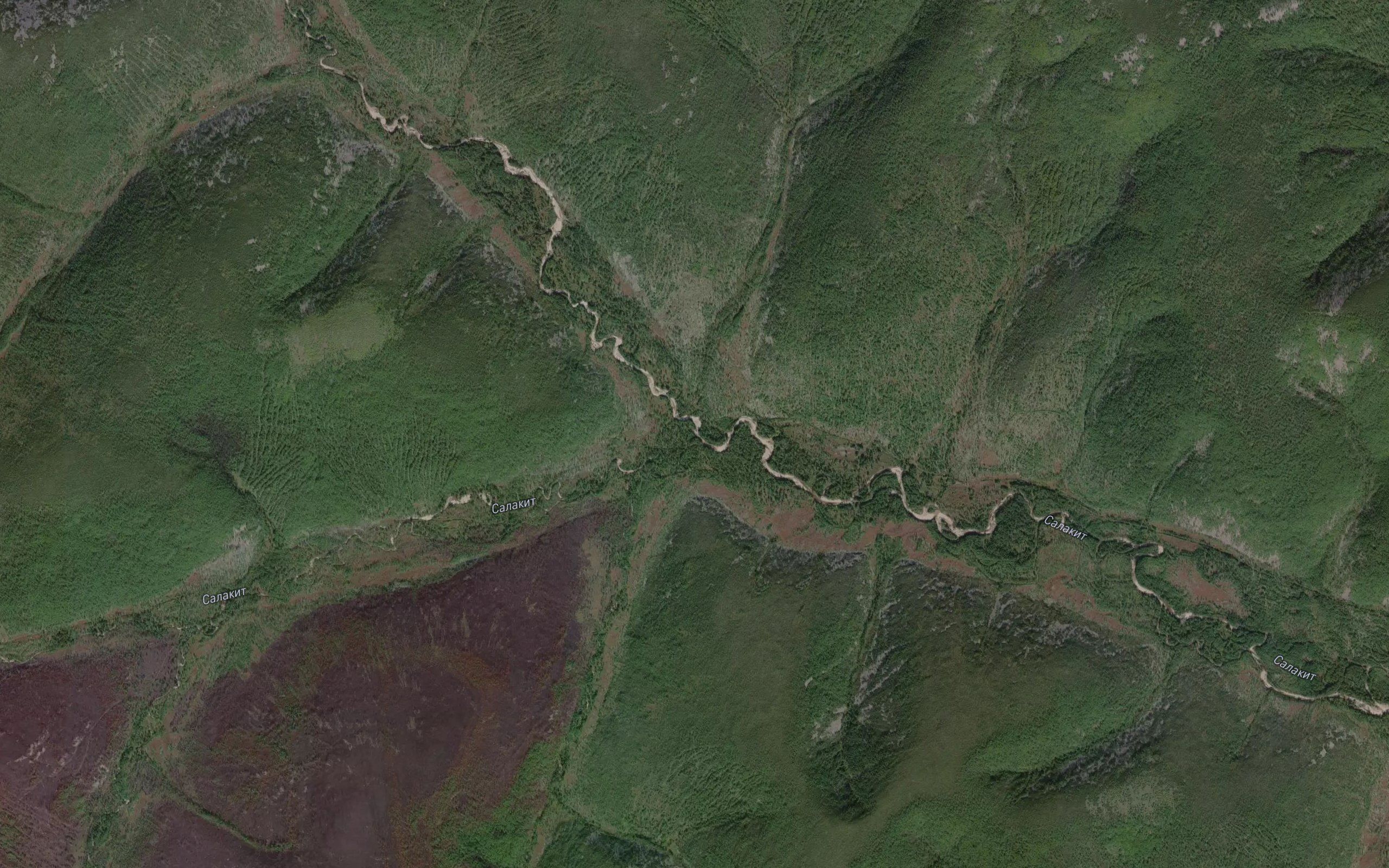 Stlanikovyy