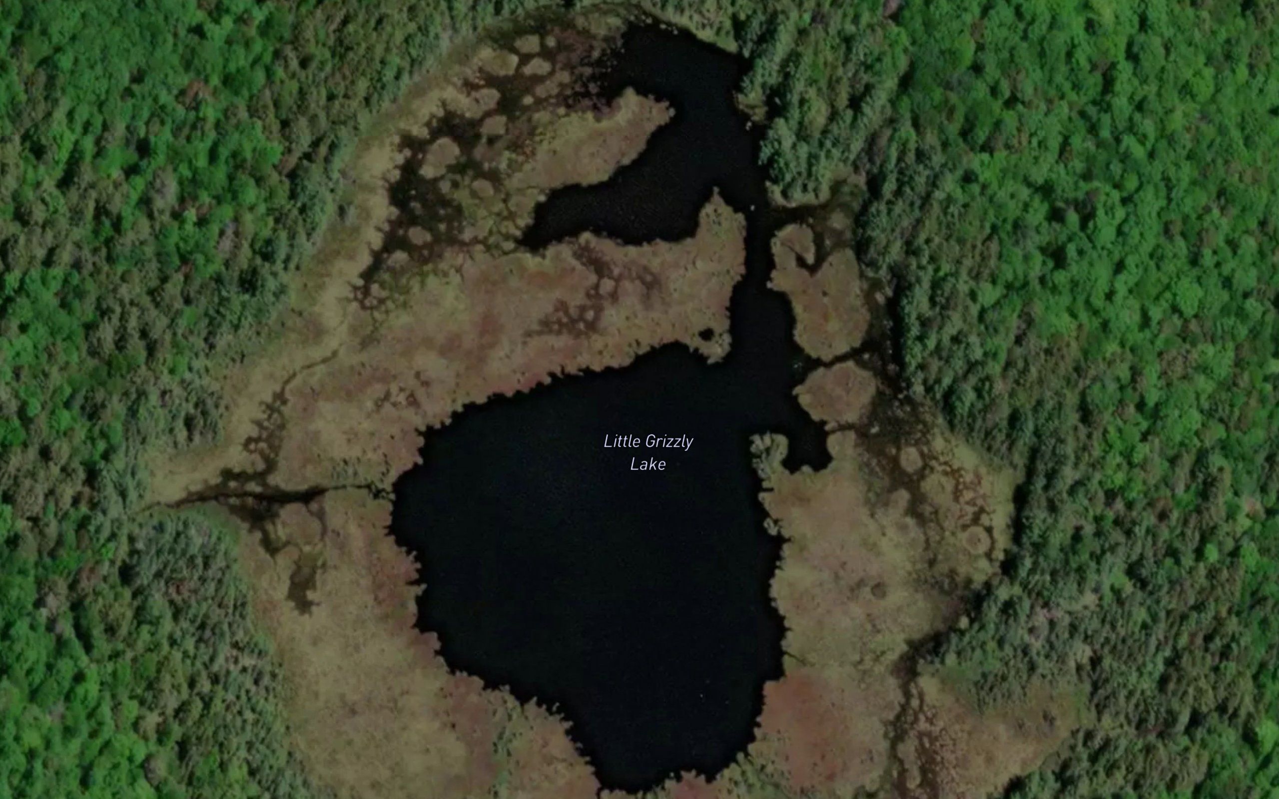 Little Grizzly Lake