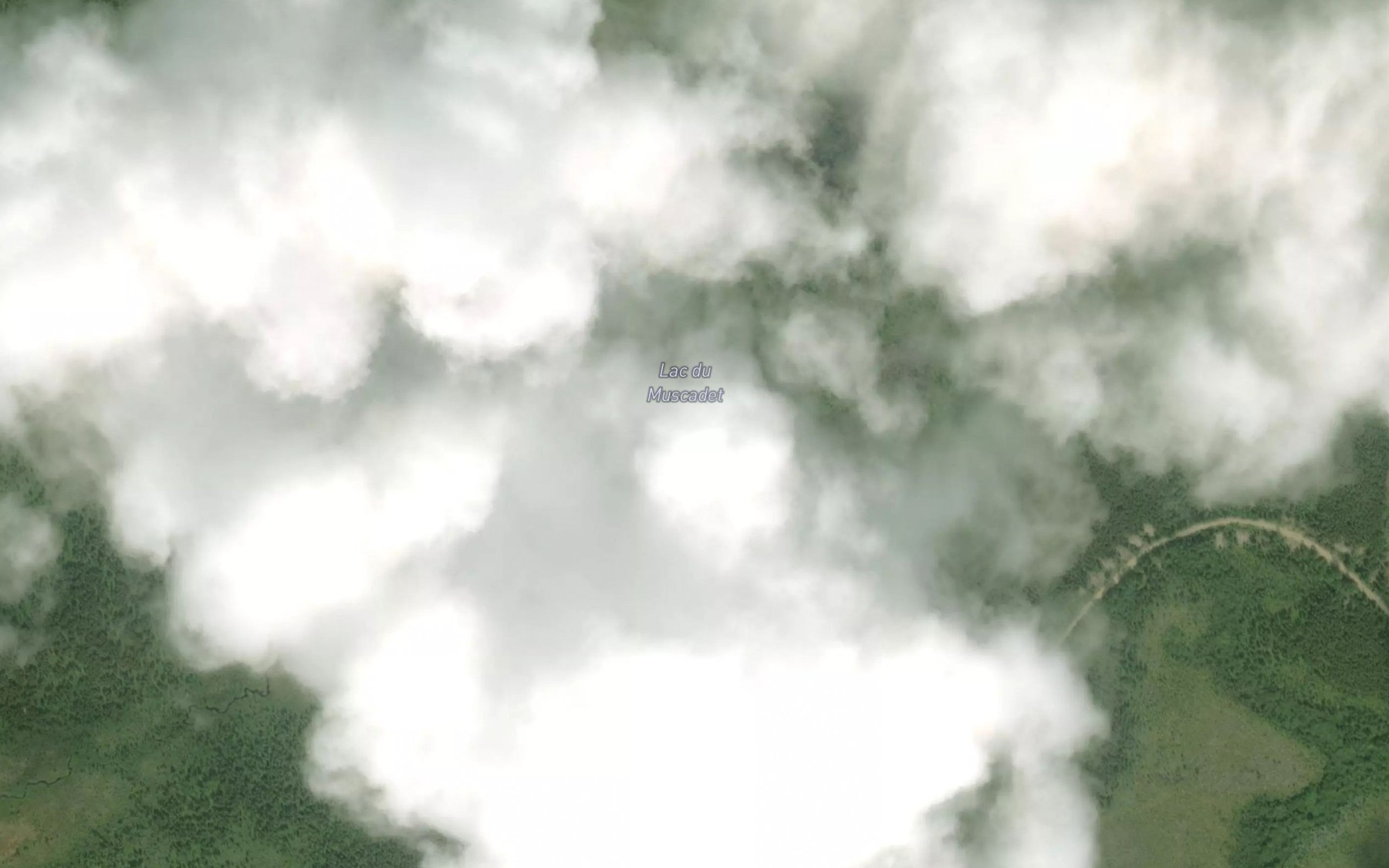 Satellite map of the Lac du Muscadet