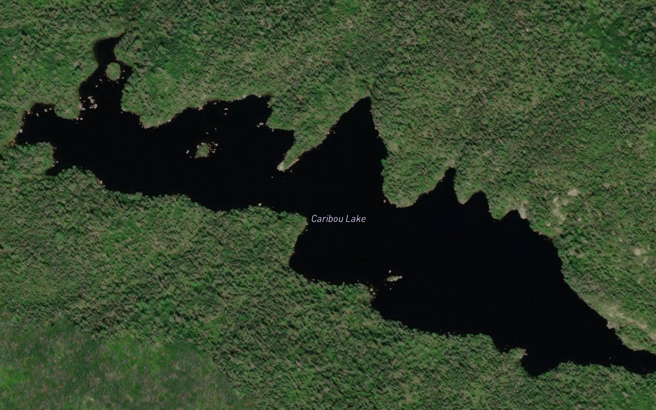 Caribou Lake