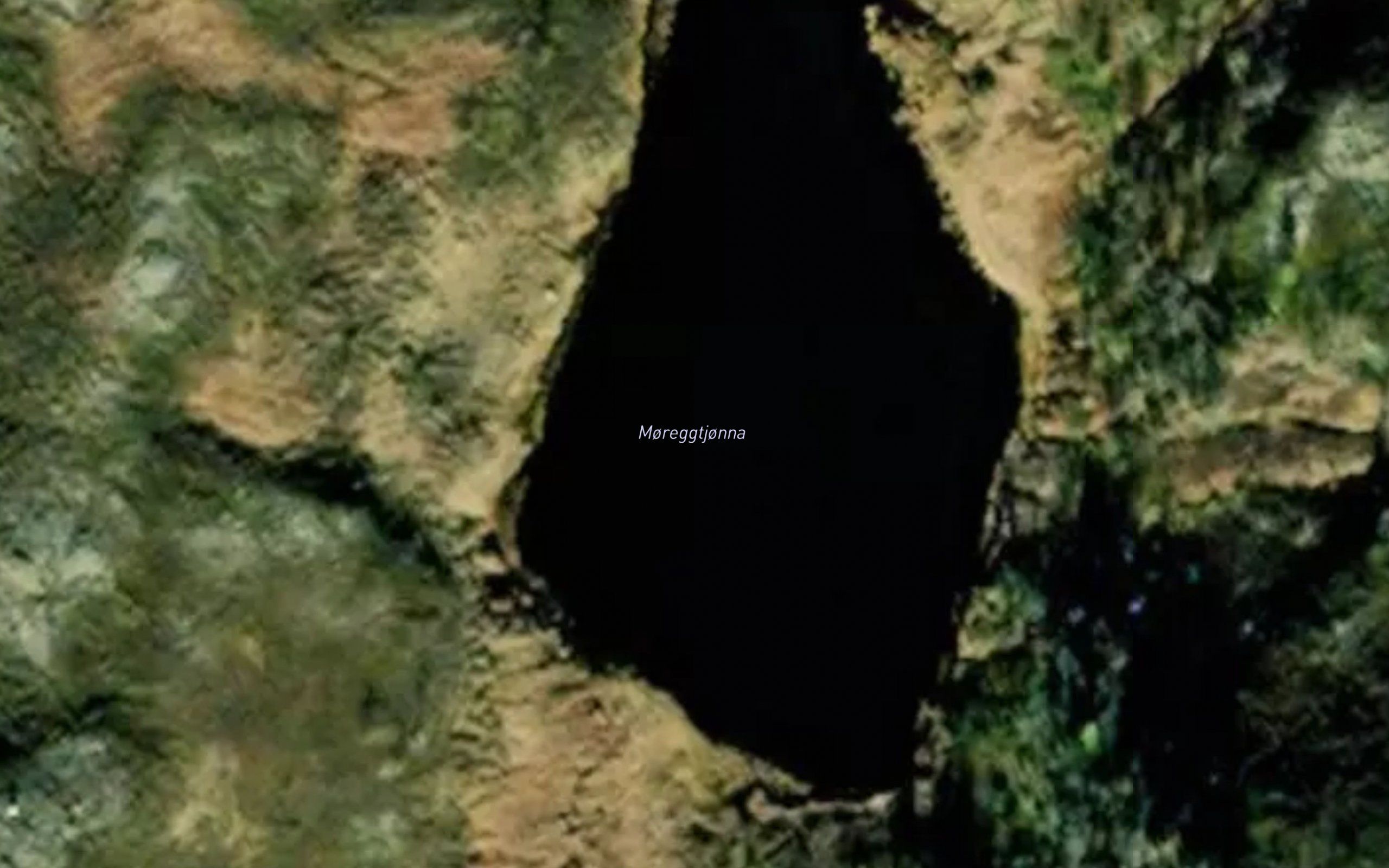 Moreggtjorna