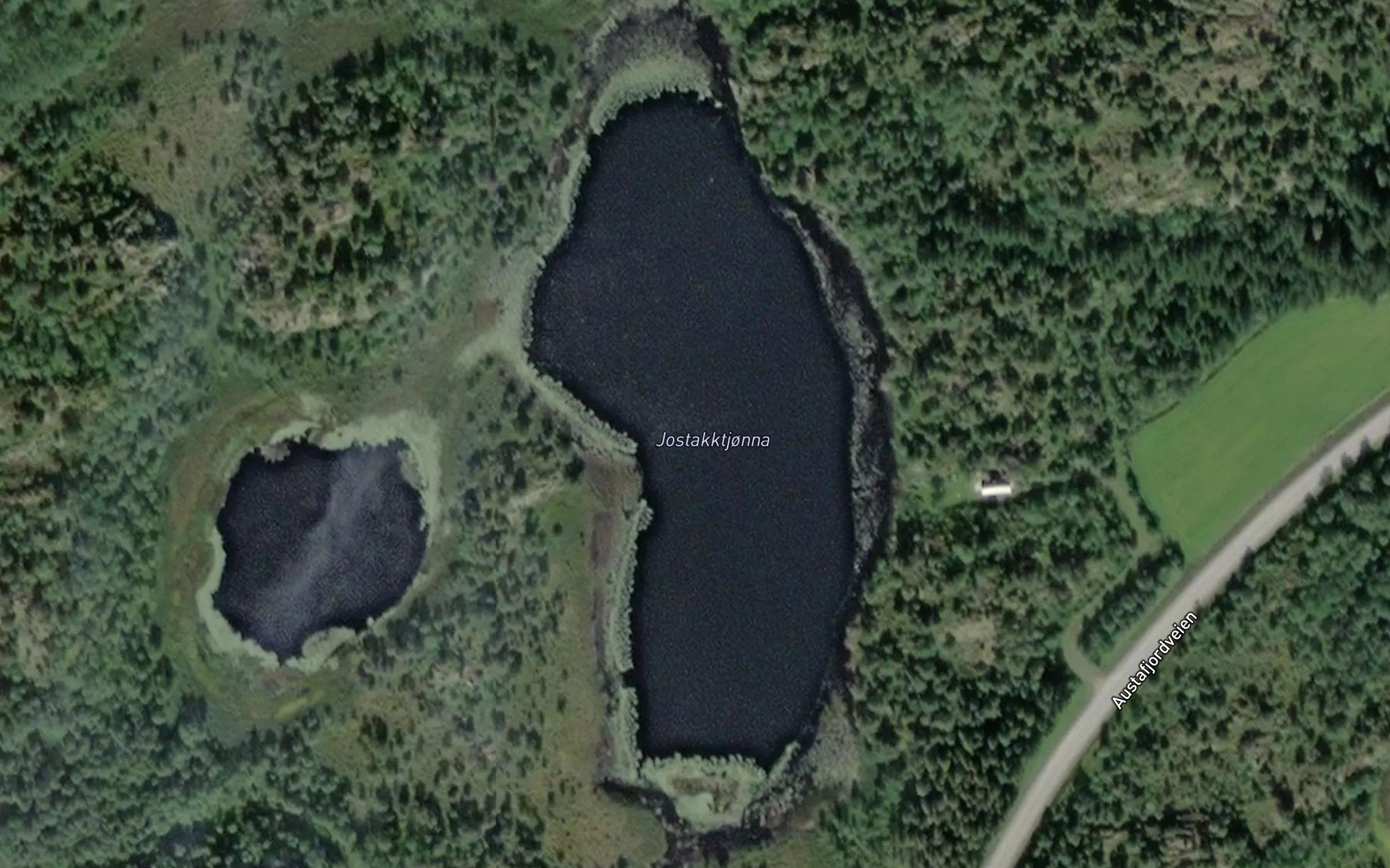 Jostakktjorna