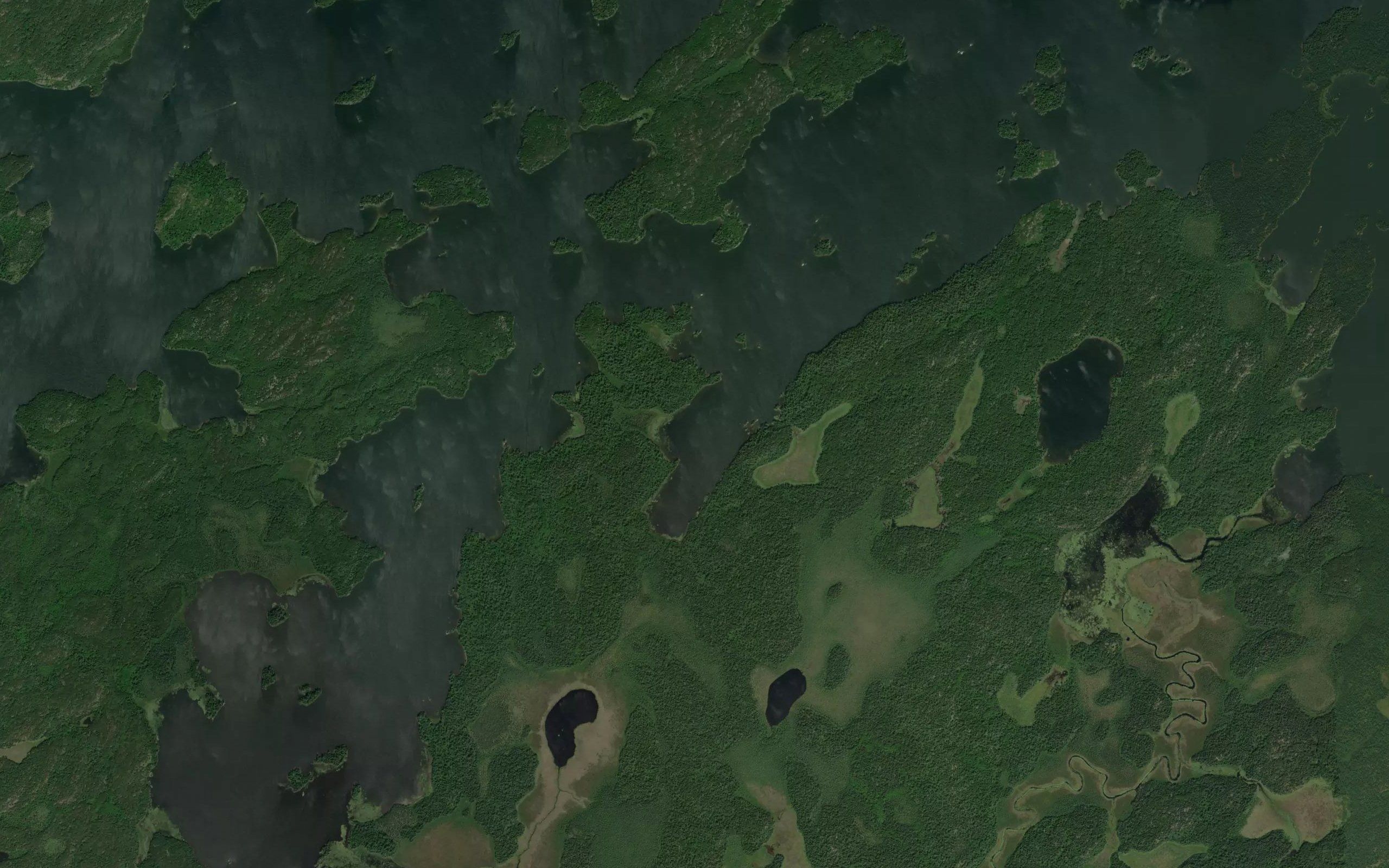 Little Muskeg Bay