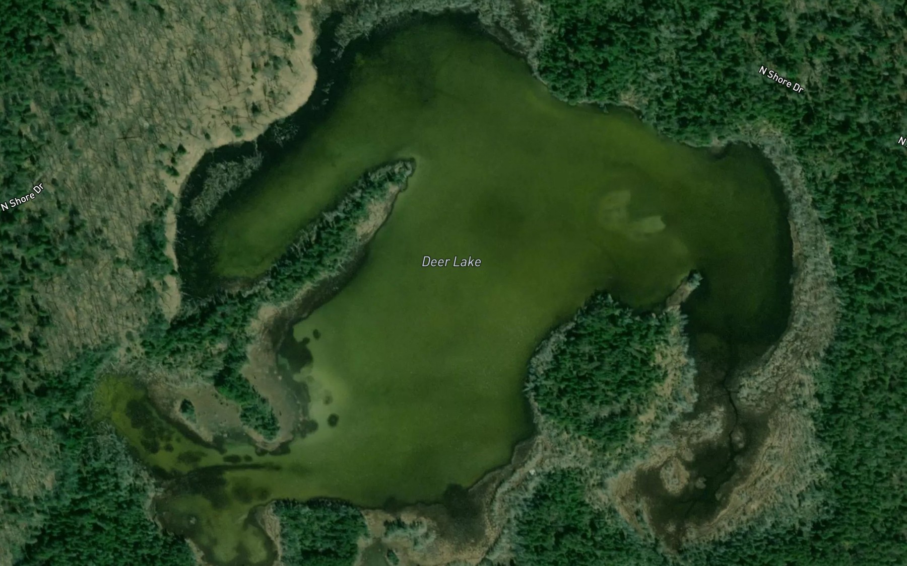 Satellite map of the Deer Lake