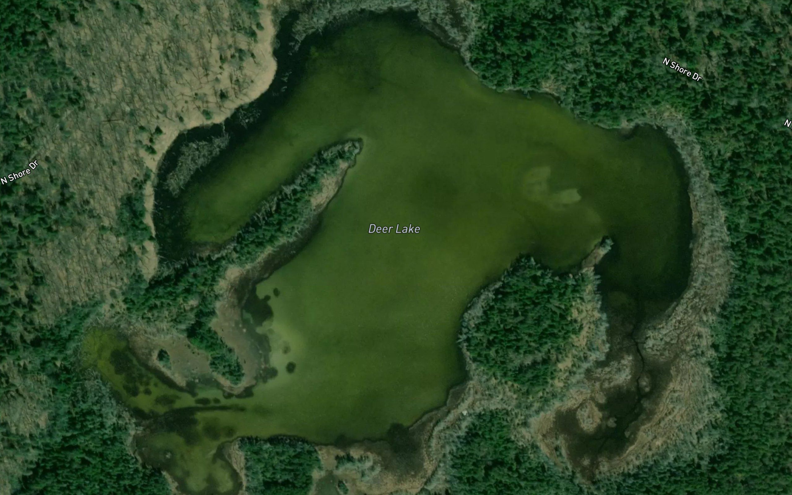 Deer Lake