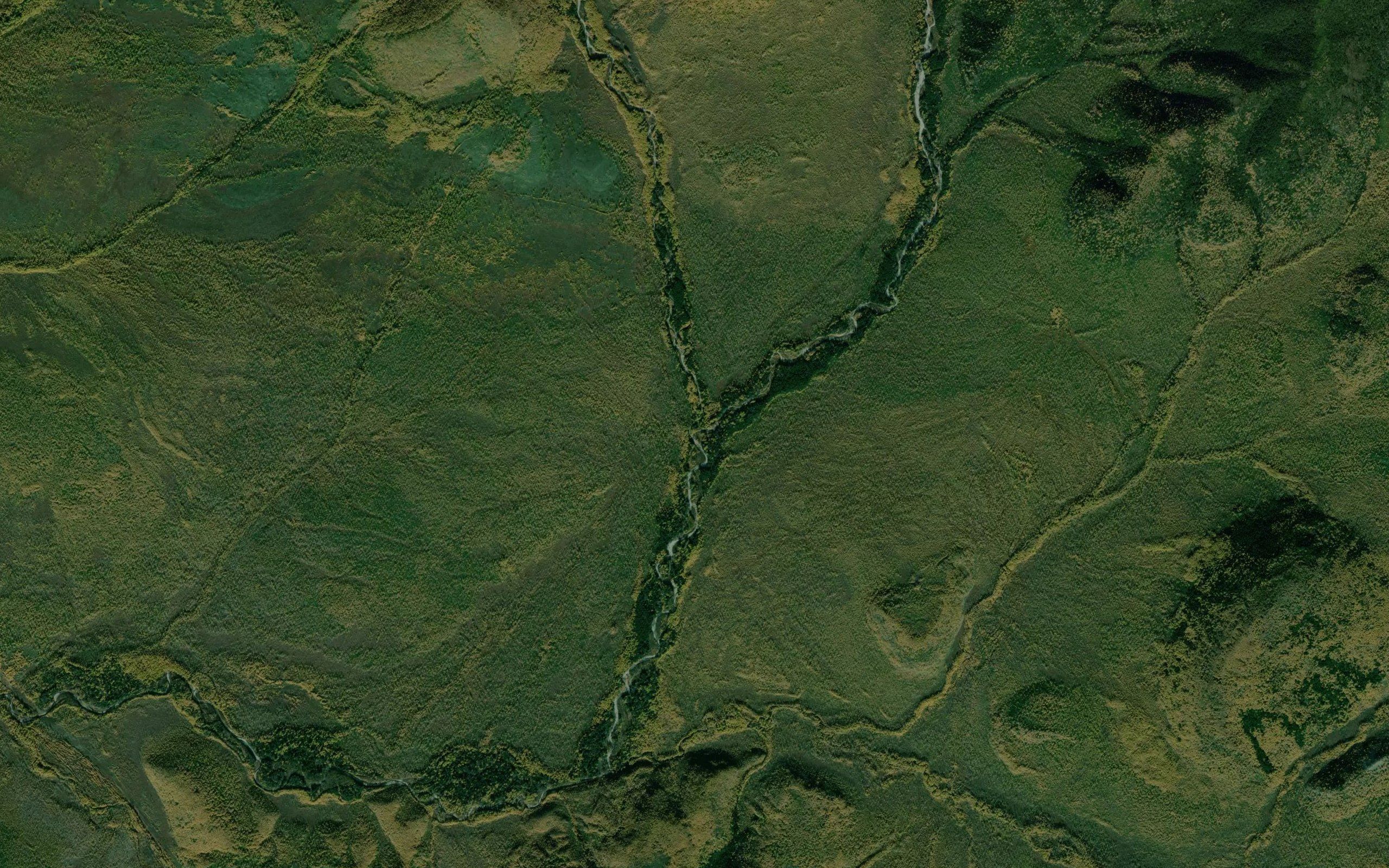Burgali