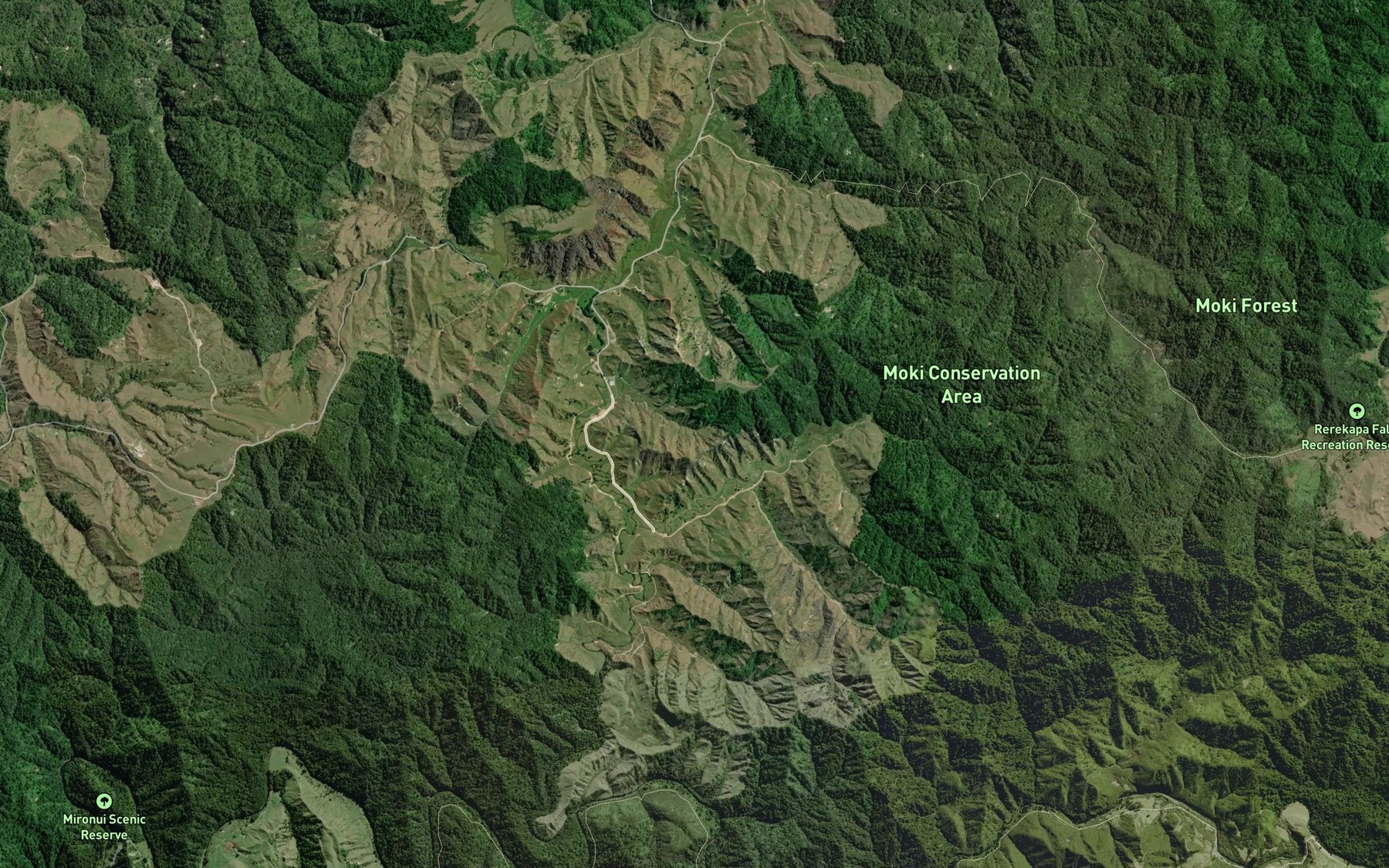 Satellite map of the Pararahi Stream