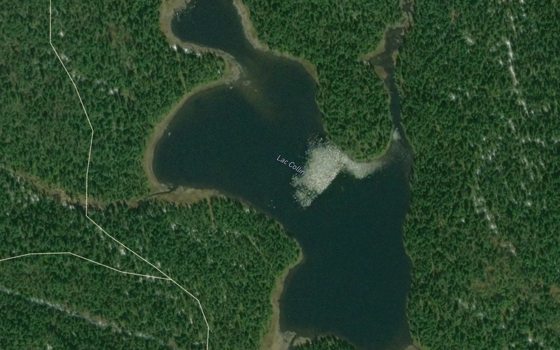 Satellite map of the Lac Collin
