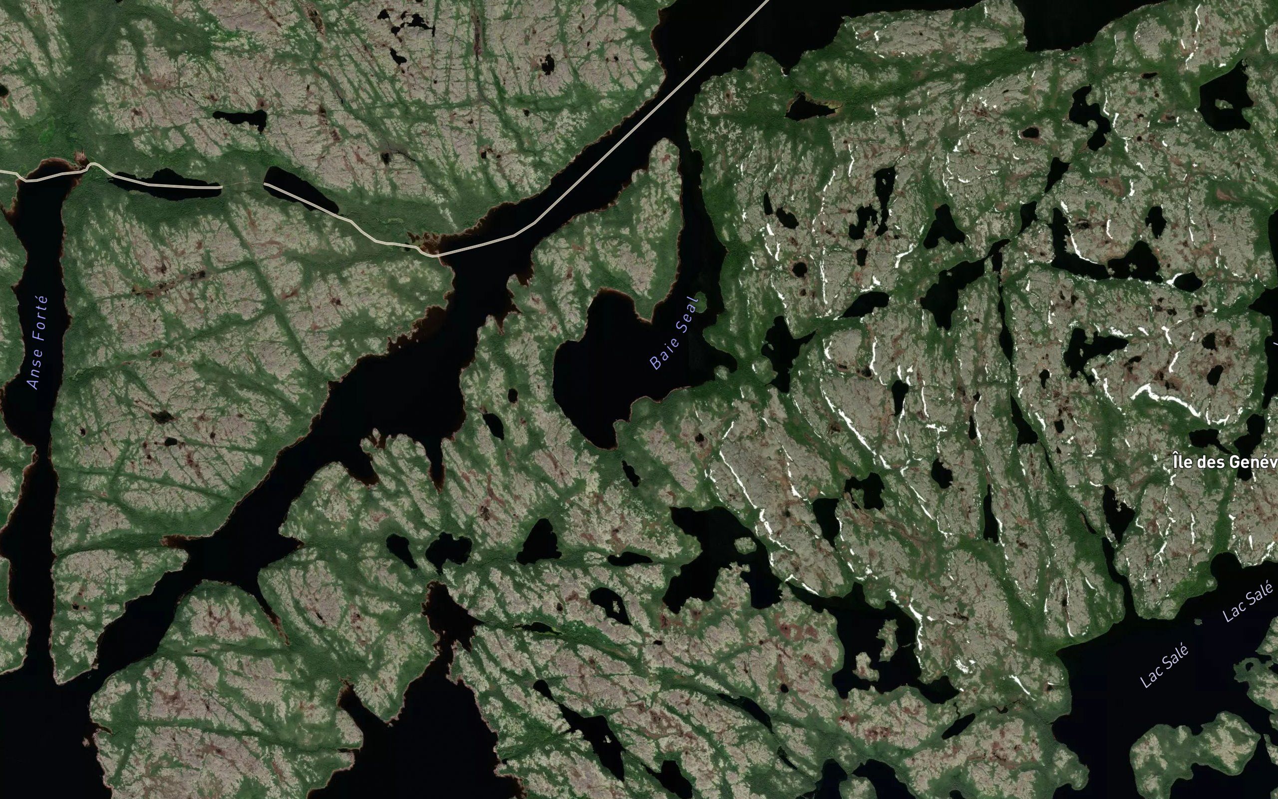 Baie Seal