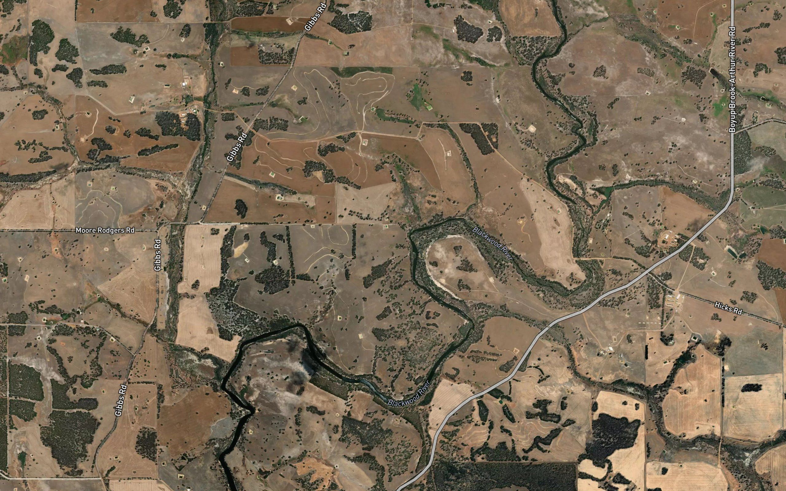 Boree Gully