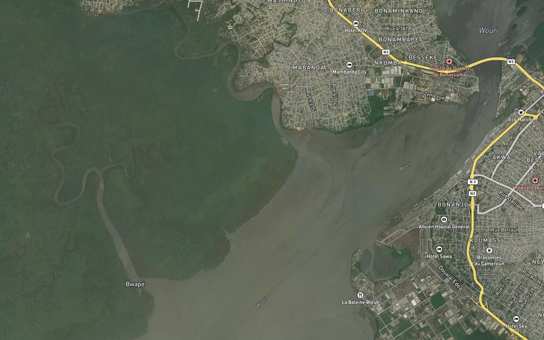 Satellite map of the Crique Moungo