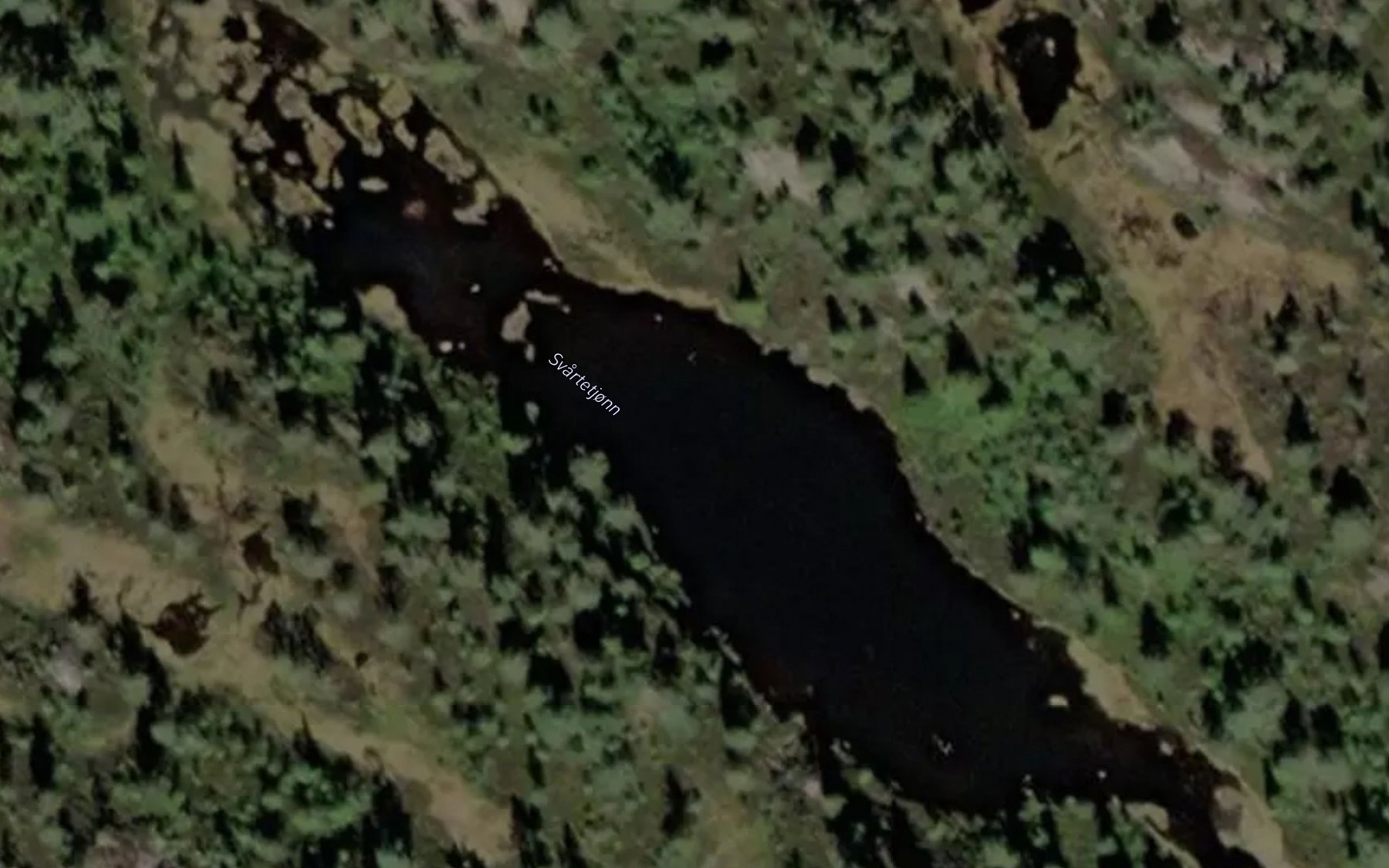 Satellite map of the Svartetjonn