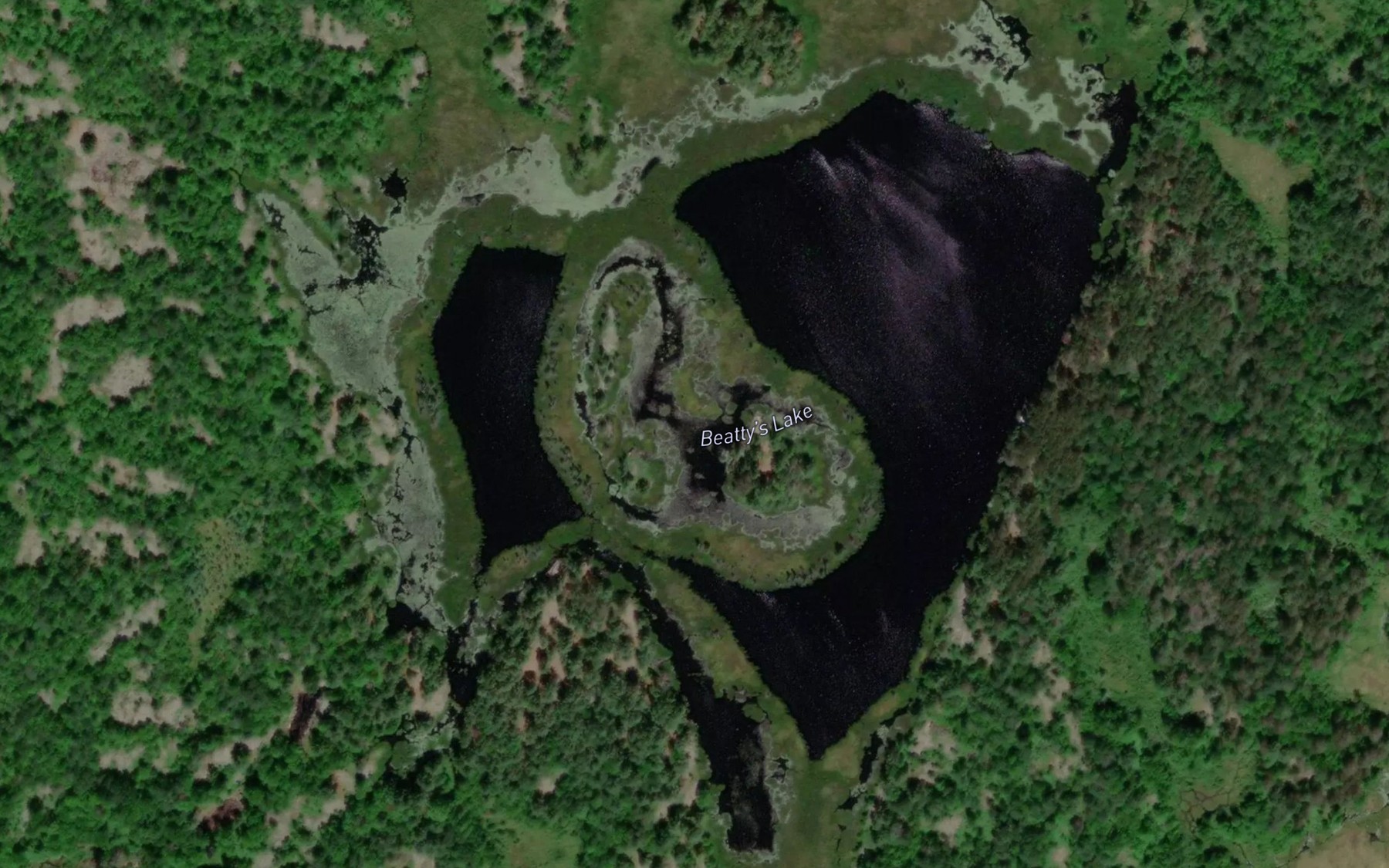 Satellite map of the Beatty's Lake