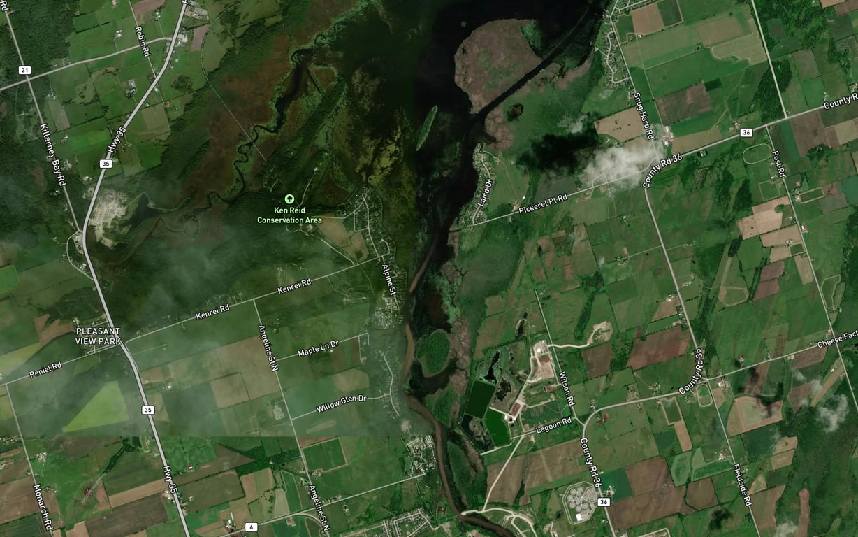 Scugog River Fishing in Ontario 2026 — Live Reports, Forecast & AI ...