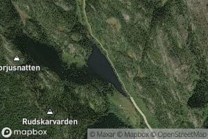 Nordtjern