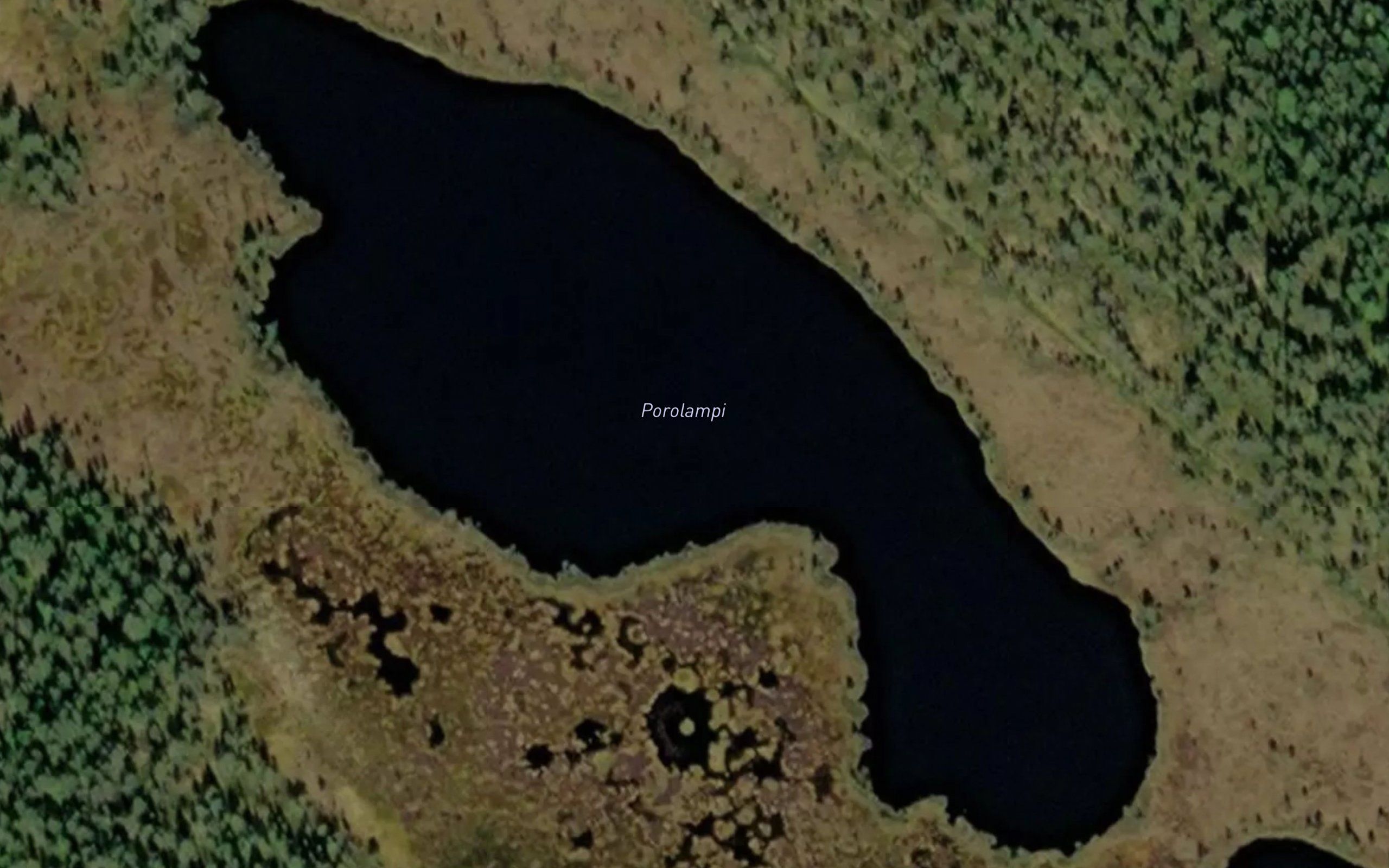 Porolammit