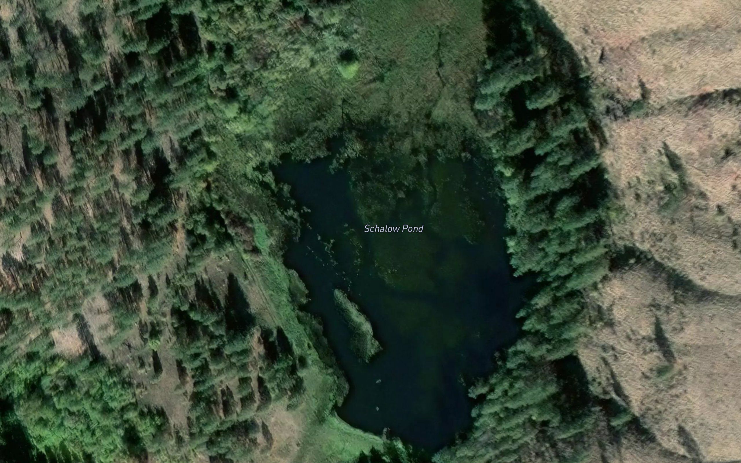 Schalow Pond