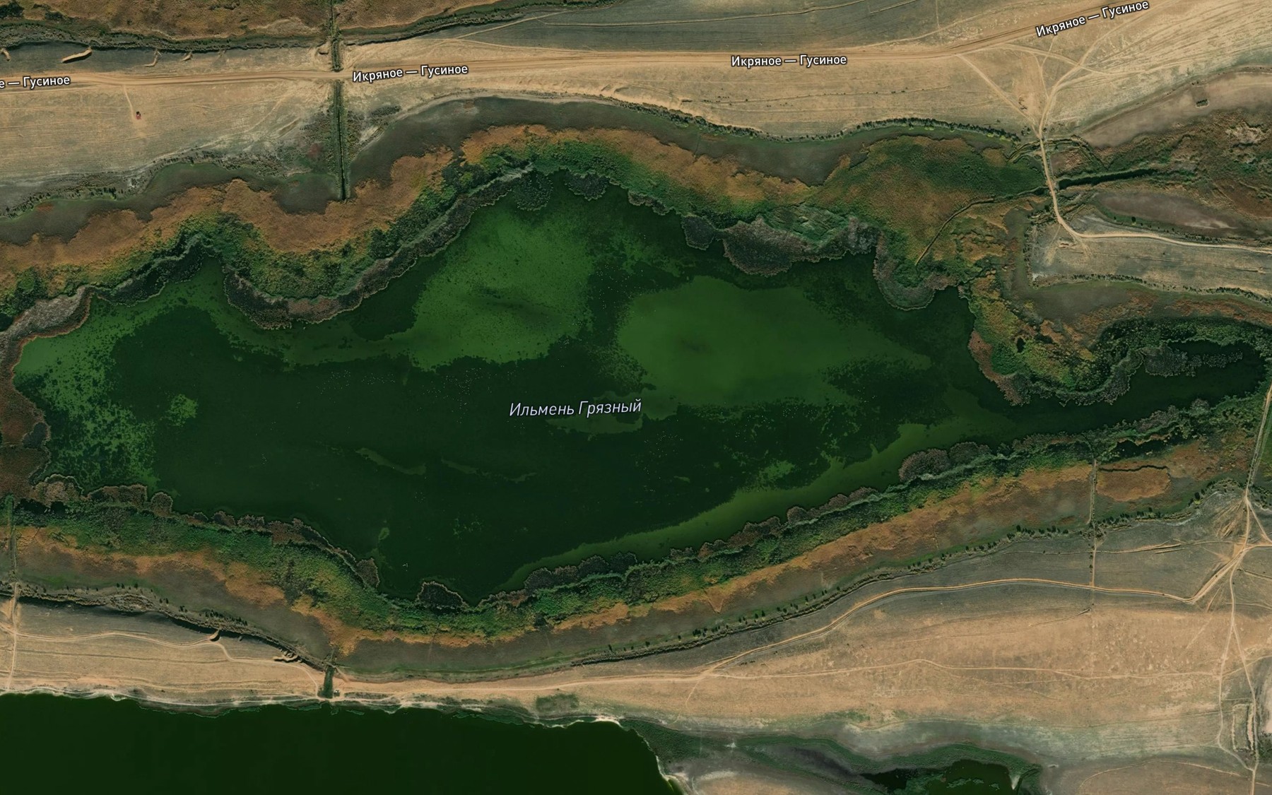Satellite map of the Il'men' Gryaznyy