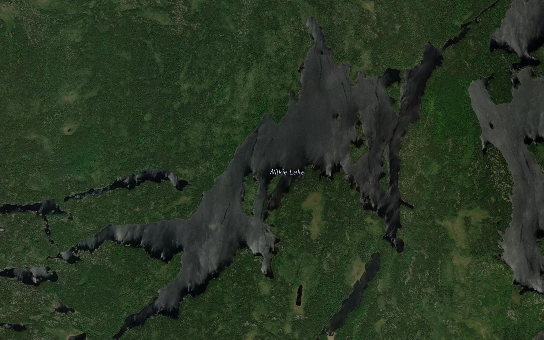 Satellite map of the Wilkie Lake