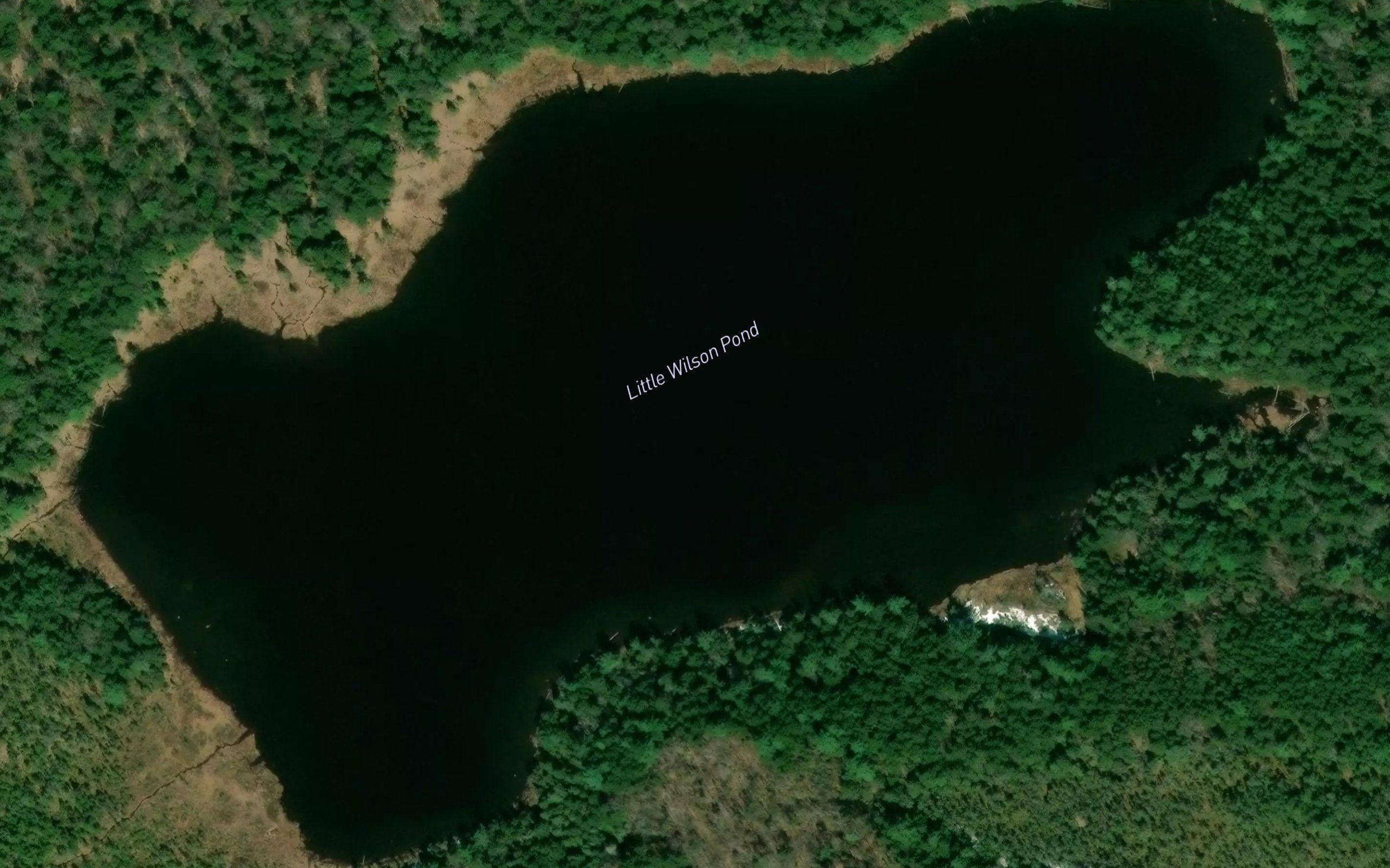 Little Wilson Pond