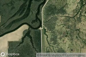 Pickerel Creek