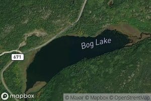 Bog Lake