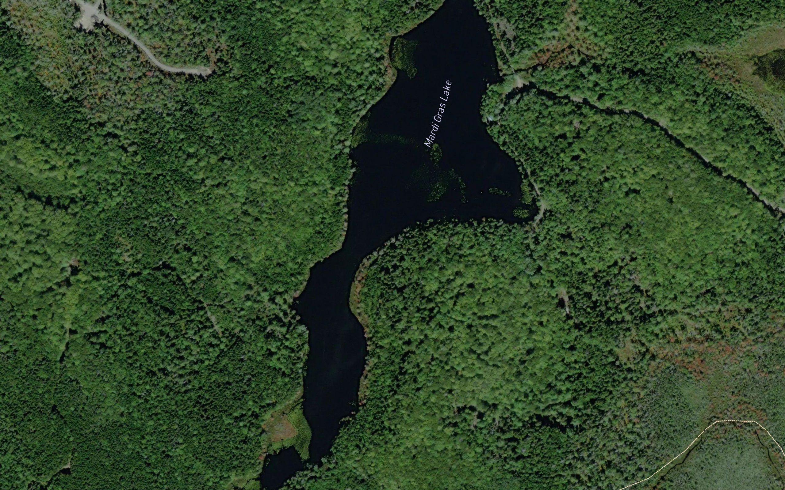 Mardi Gras Lake