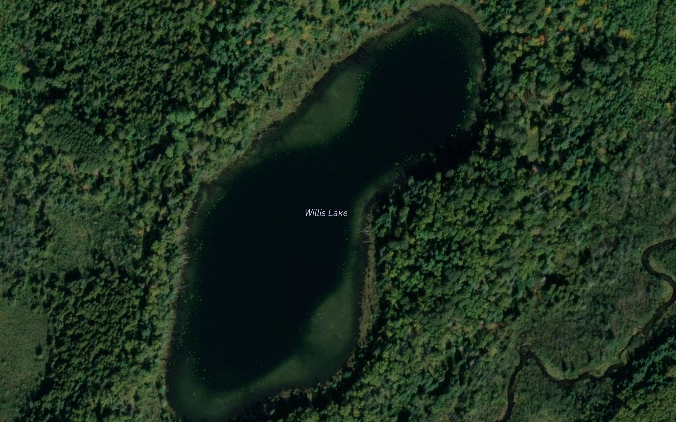Willis Lake