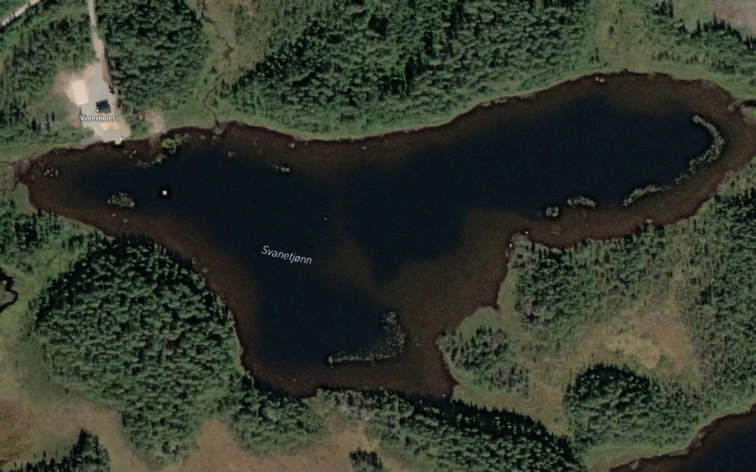 Svanetjorn