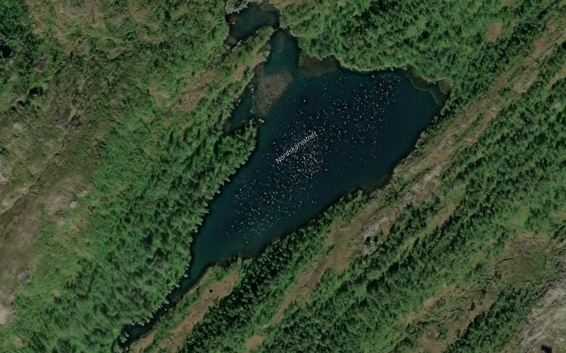 Satellite map of the Nordskarvatnet
