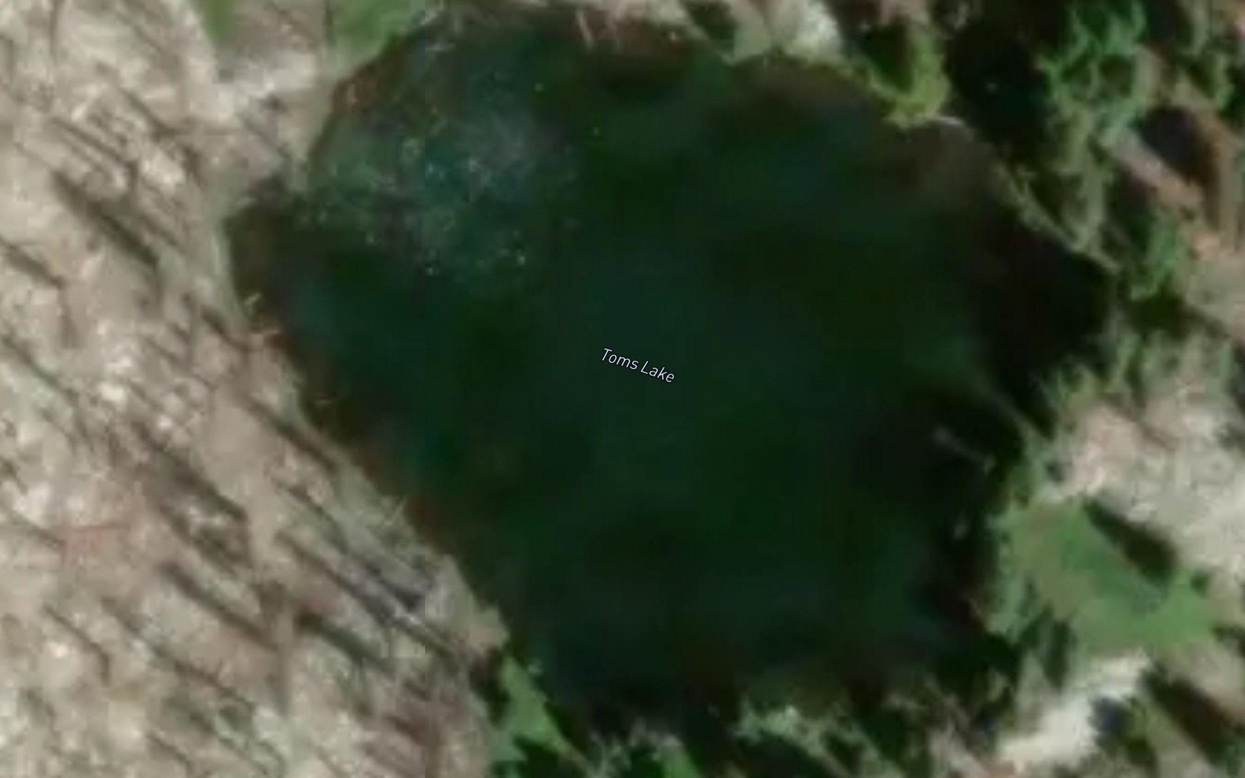 Toms Lake