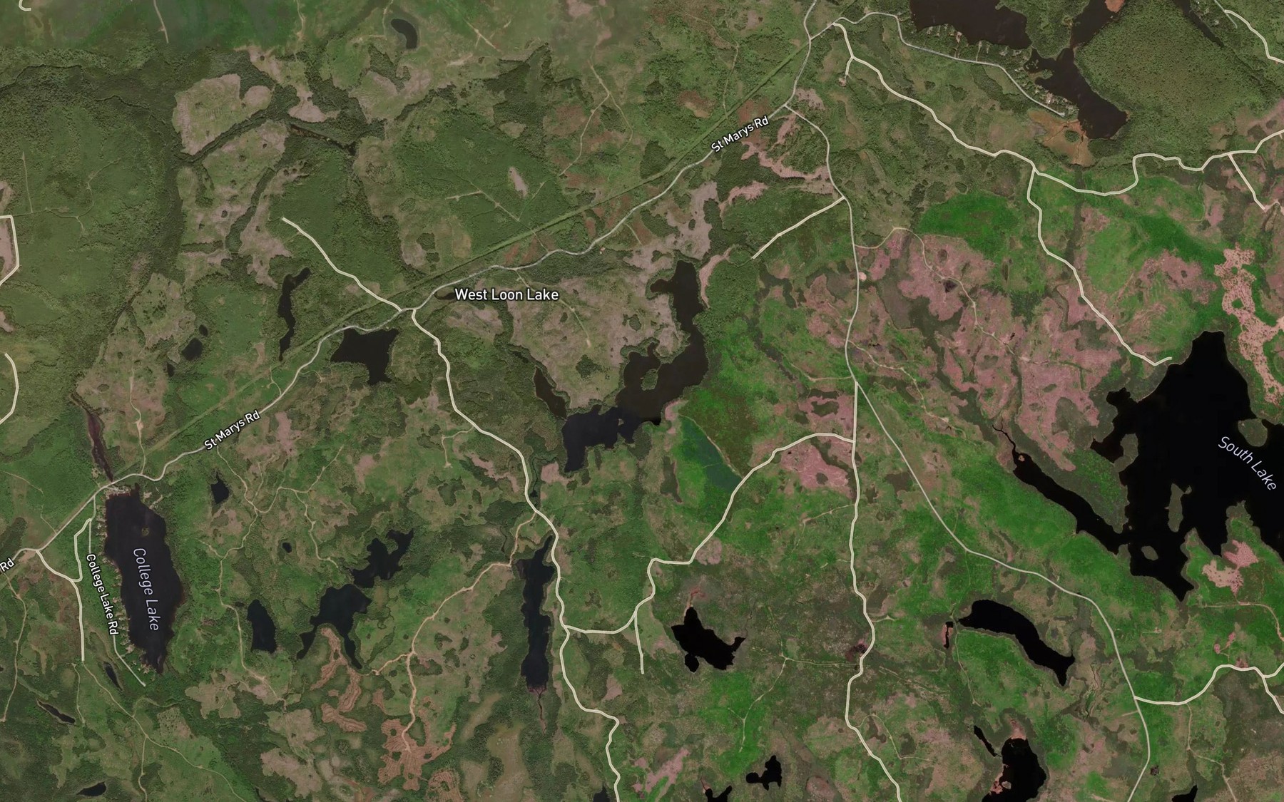 Satellite map of the Cox Lake