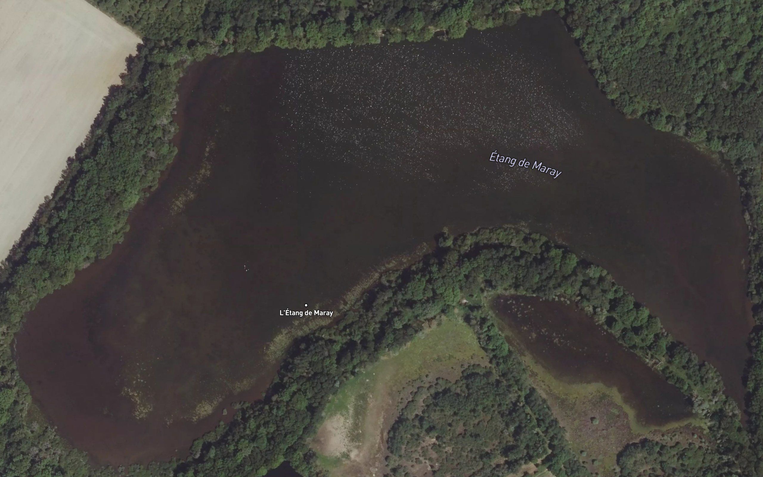 Etang de Maray