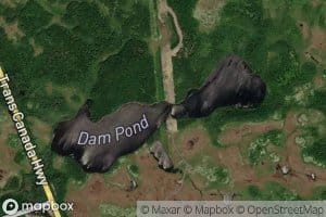 Dam Pond