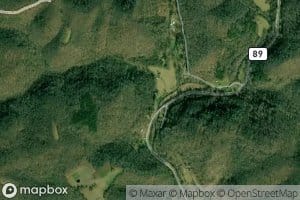 Old Field Branch