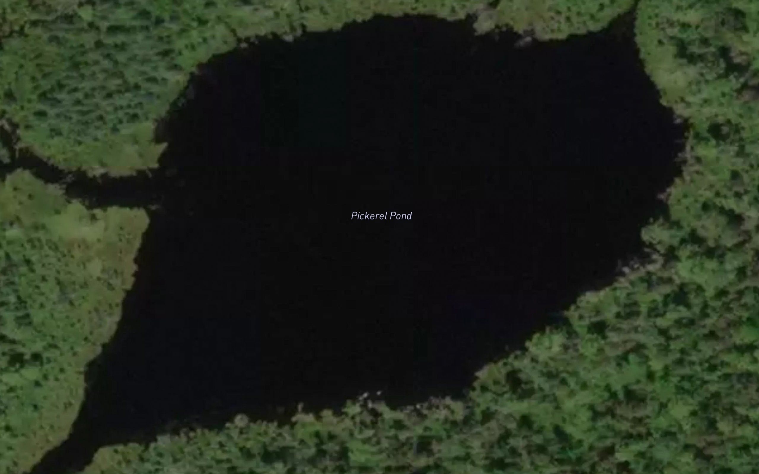 Pickerel Pond
