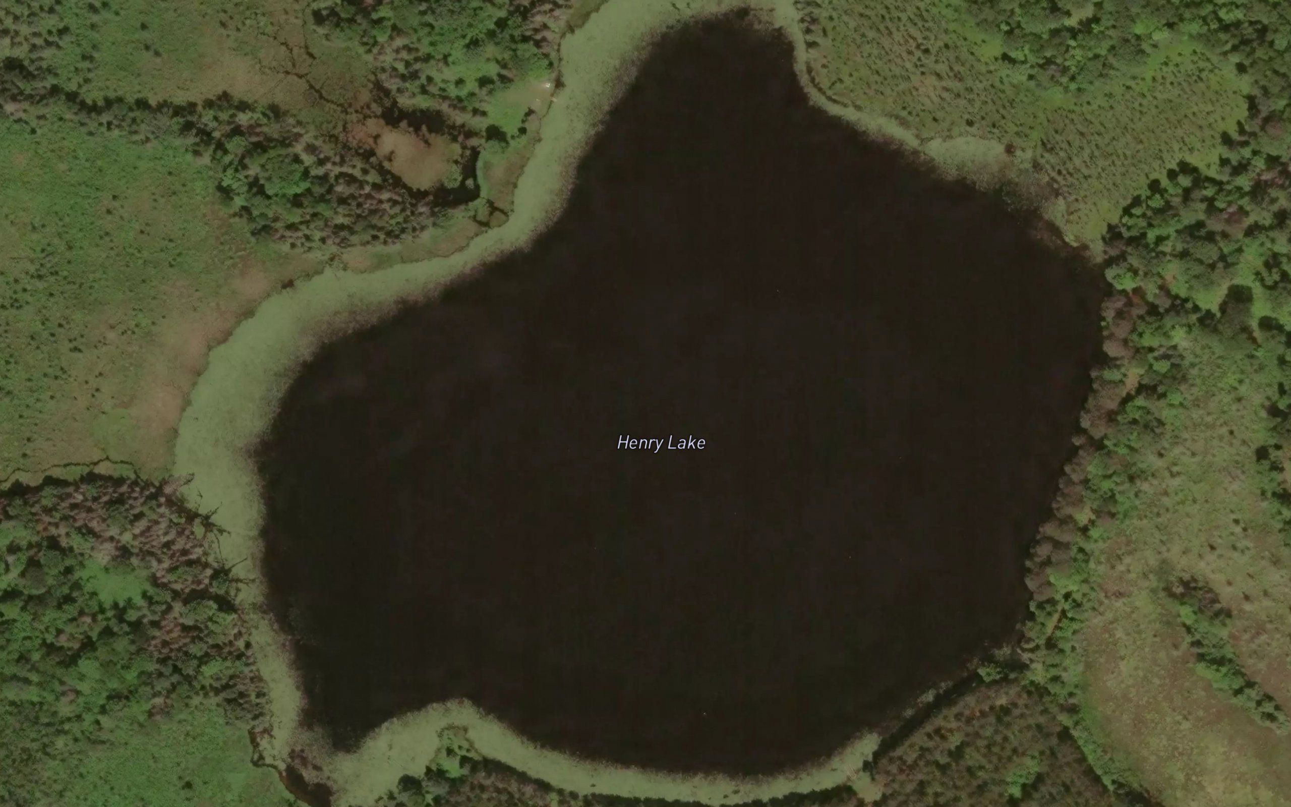 Henry Lake