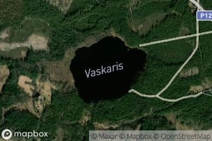 Vaskaris