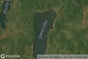Shea Lake