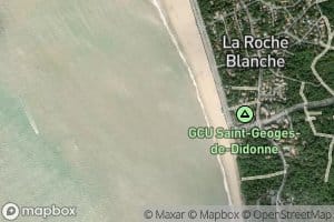 Conche de Saint-Georges