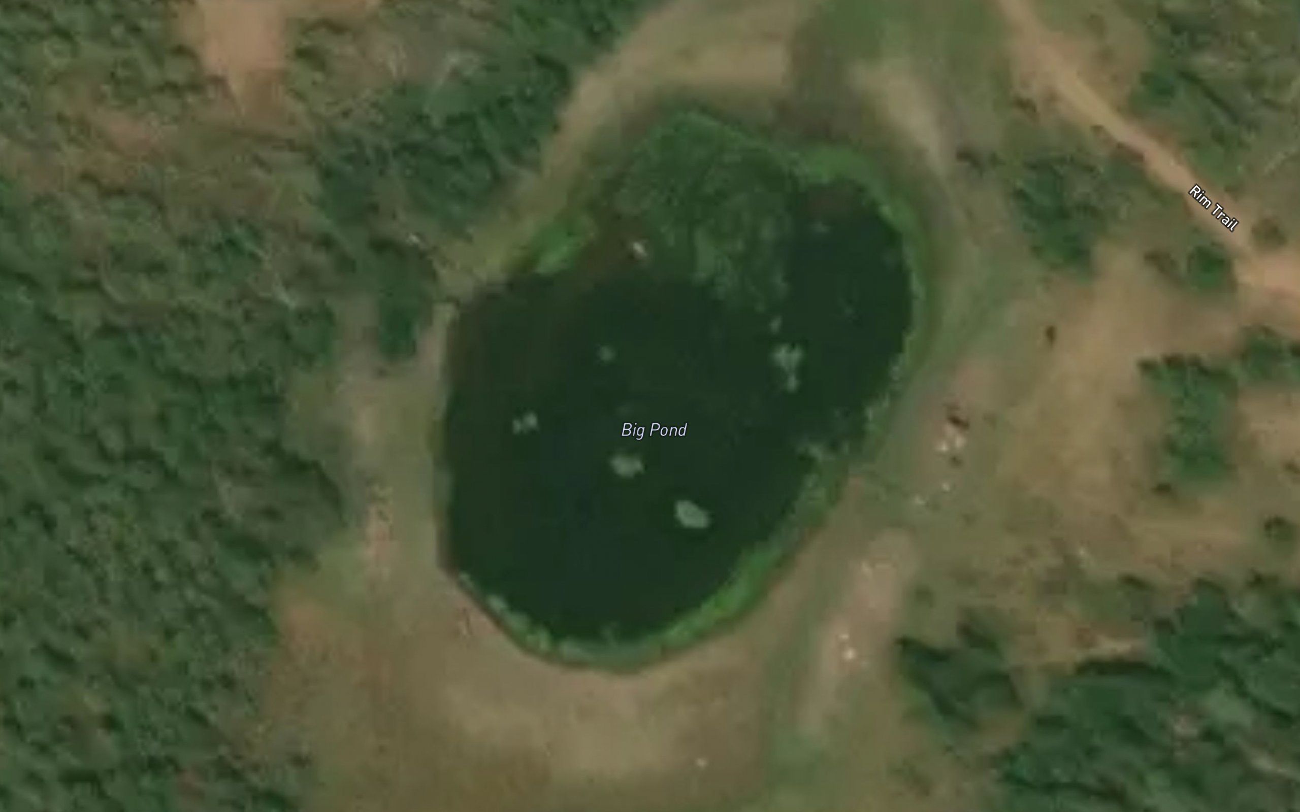 Big Pond
