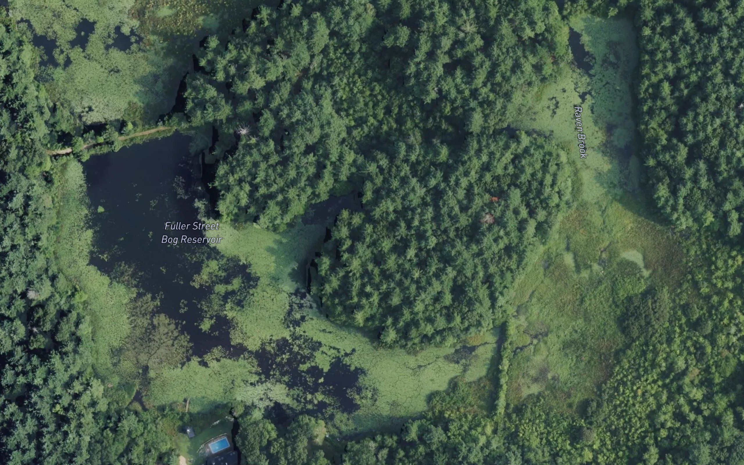 Fuller Street Bog Reservoir