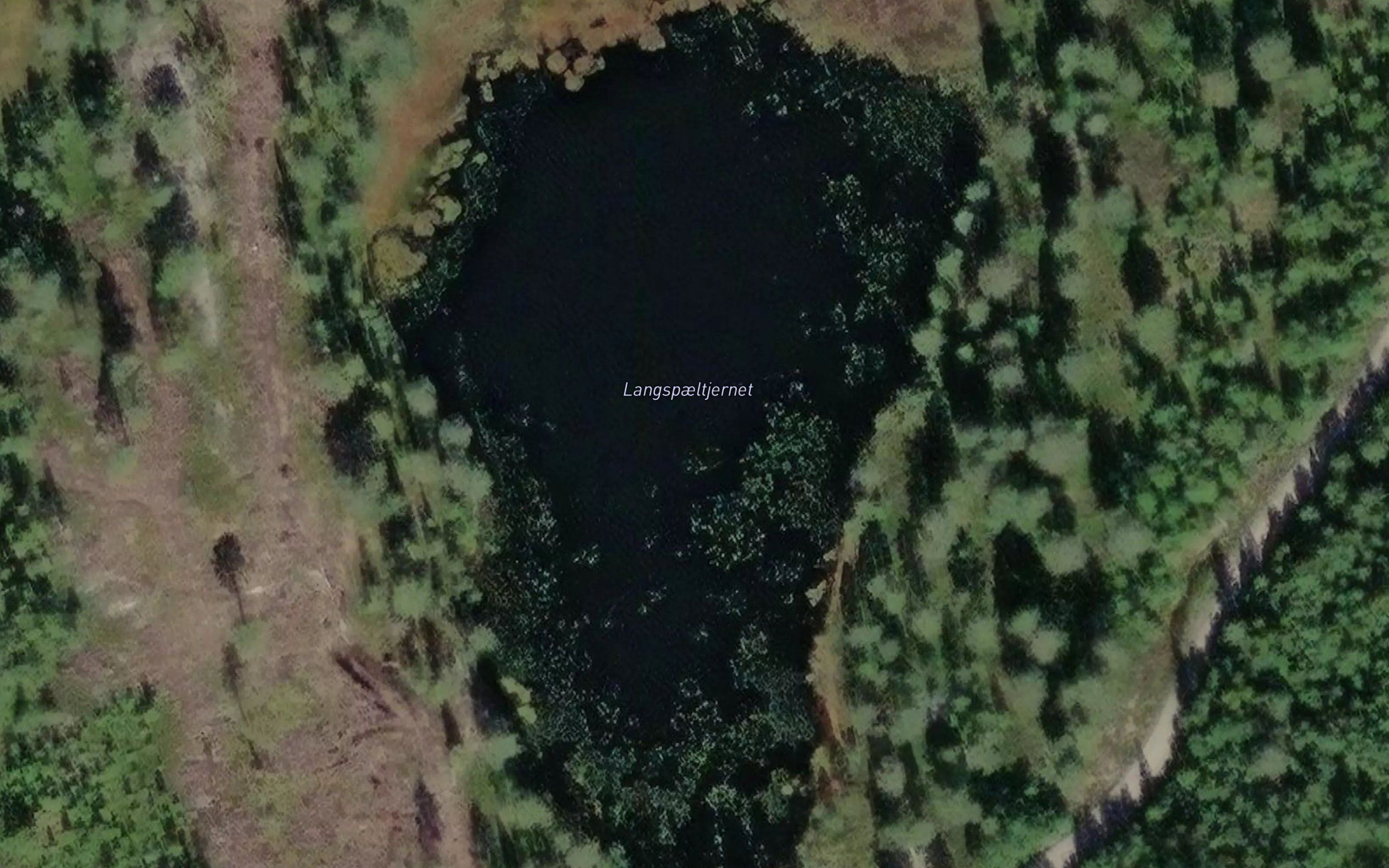 Langspaeltjernet