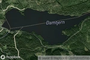 Damtjernet