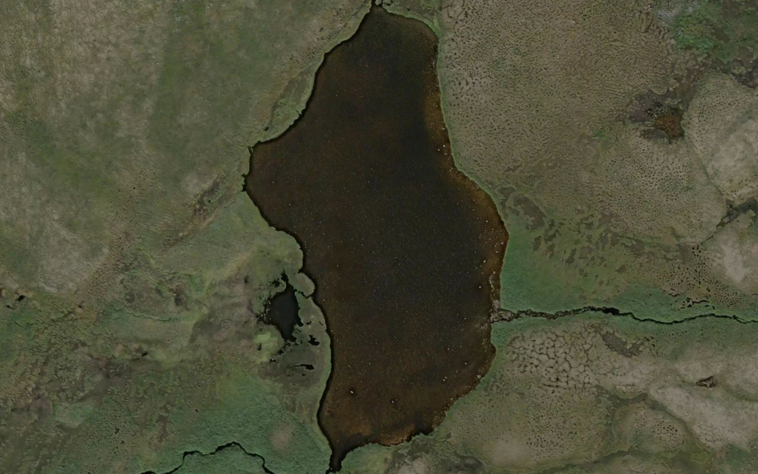 Gieddejavri