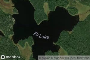 Eli Lake