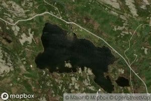Dyrebotntjorni