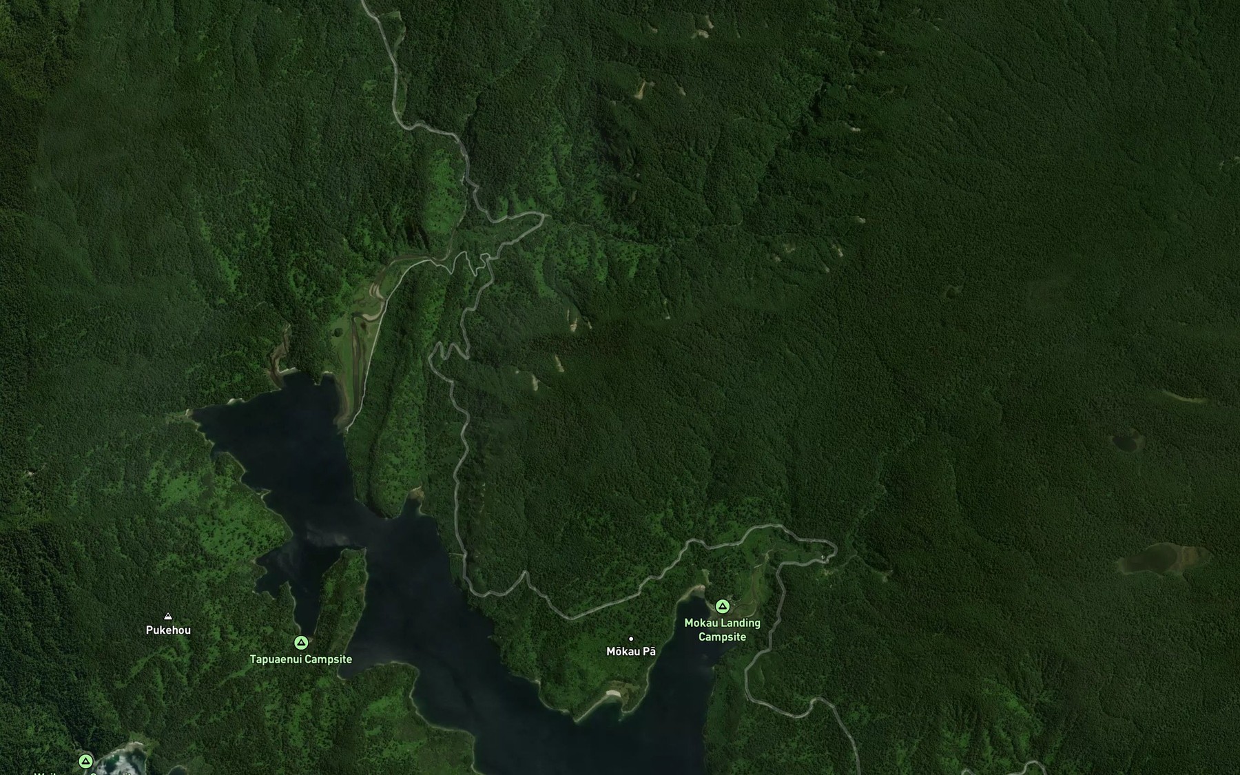 Satellite map of the Waiaruhe Stream