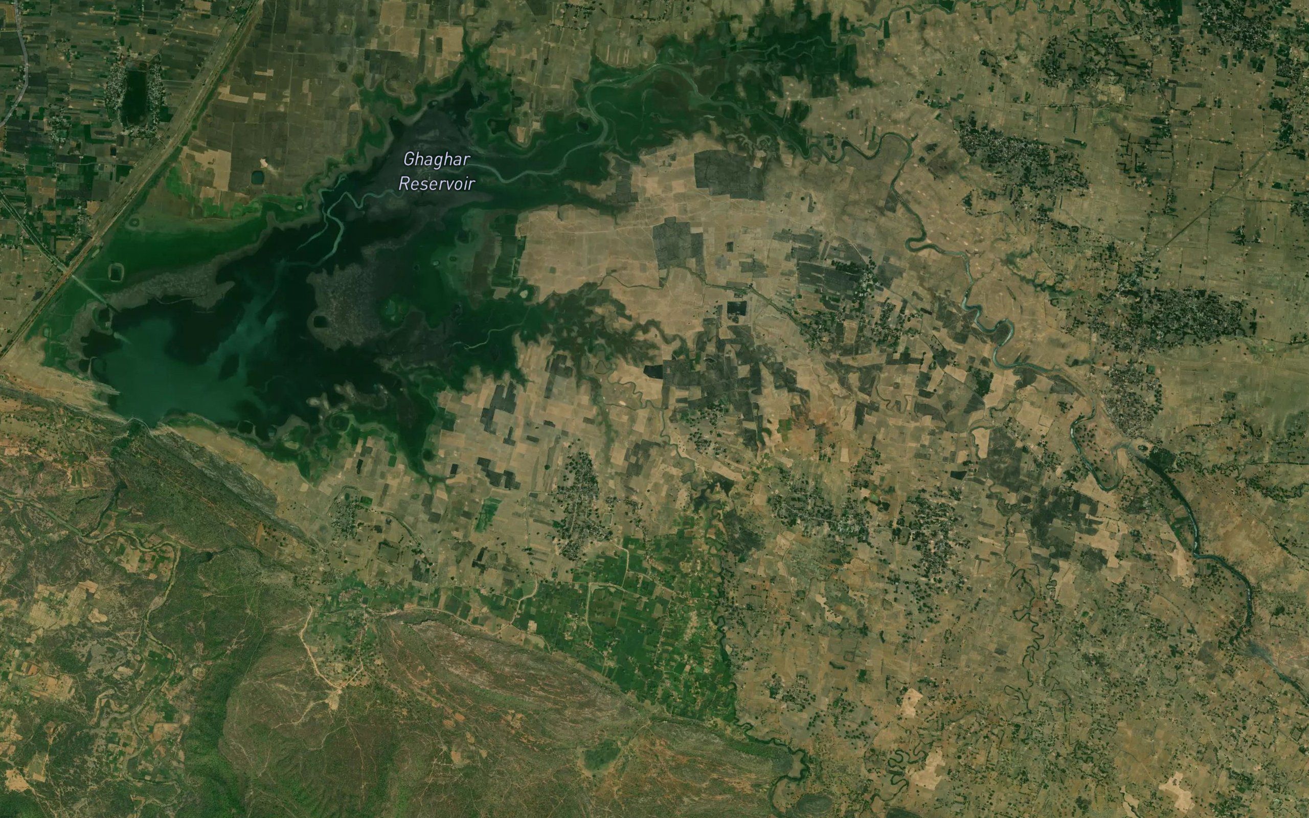 Nardari Nala